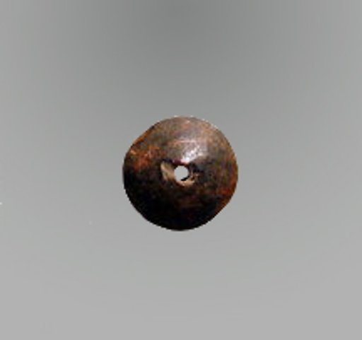 Disk