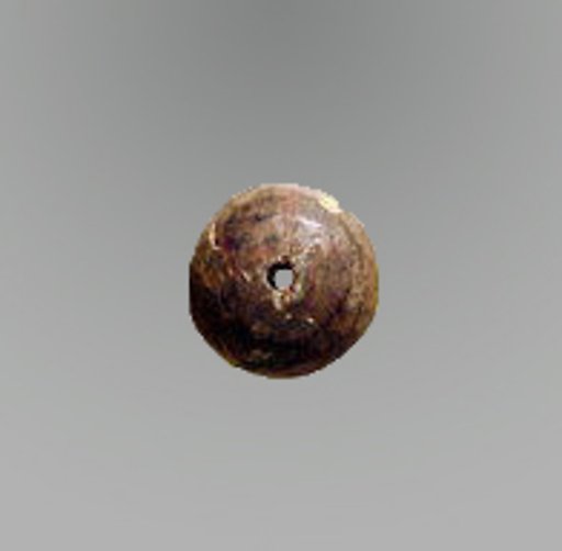 Disk