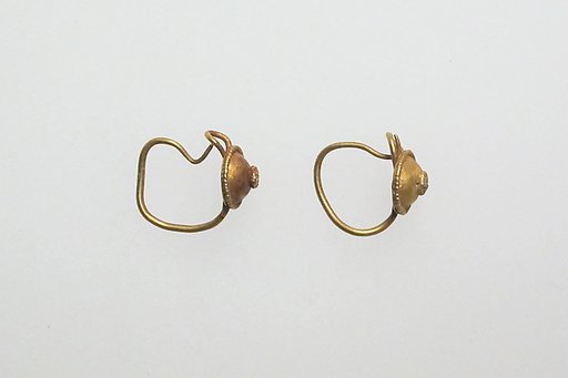 Pair of earring with disks