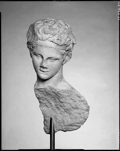 Head and part of the back of a marble statue