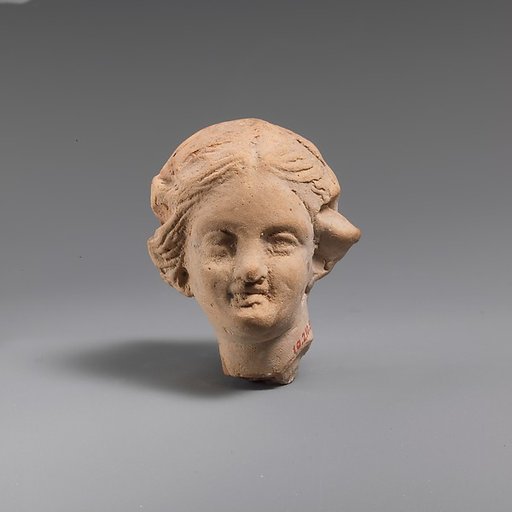 Terracotta head of a young woman