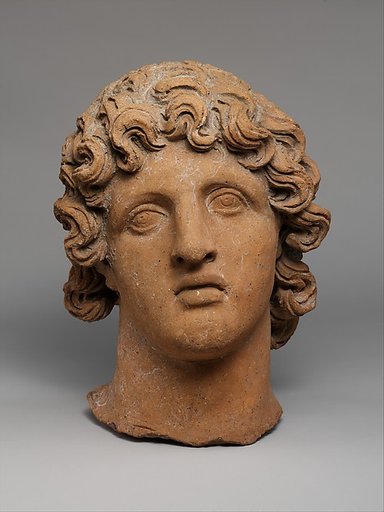 Terracotta head of a youth