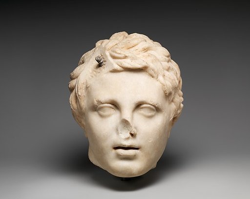 Marble head of a boy