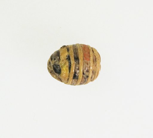 Bead