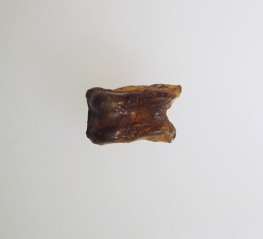 Glass astragal (knucklebone)