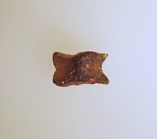 Glass astragal (knucklebone)
