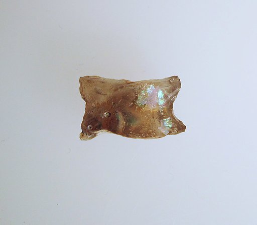 Glass astragal (knucklebone)