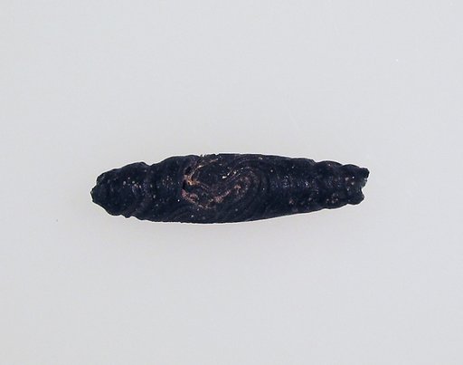 Bead