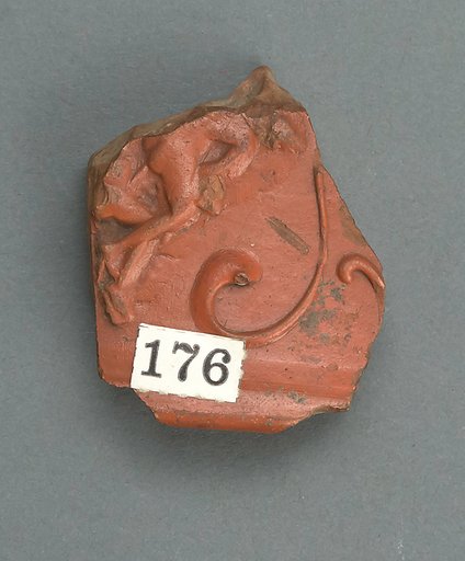 Vase fragment
