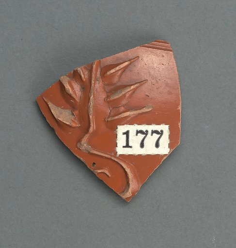 Vase fragment