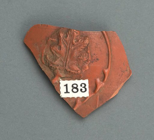 Vase fragment