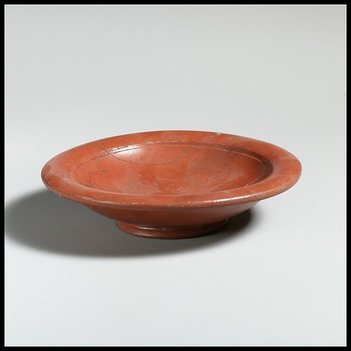 Dish