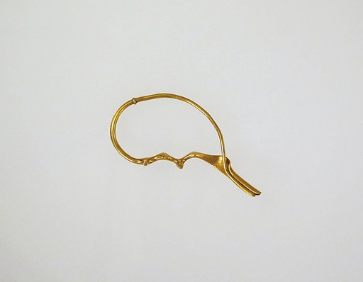 Fibula, serpentine type