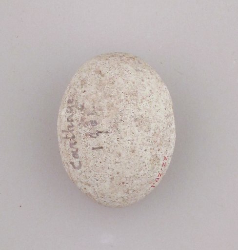 Ball, sling