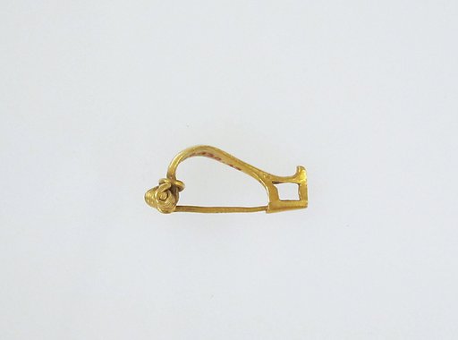 Fibula