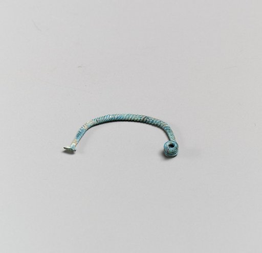 Fibula