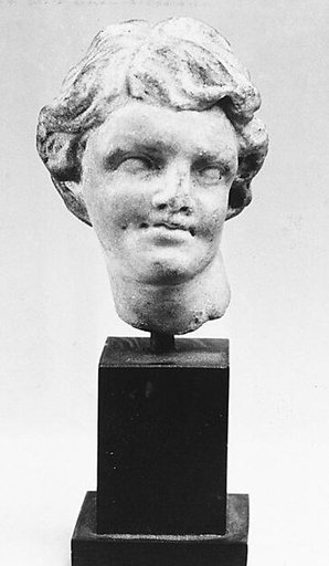 Small marble head of a youth