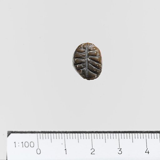 Seal stamp