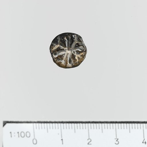 Seal, conoid