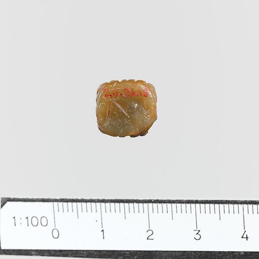 Seal