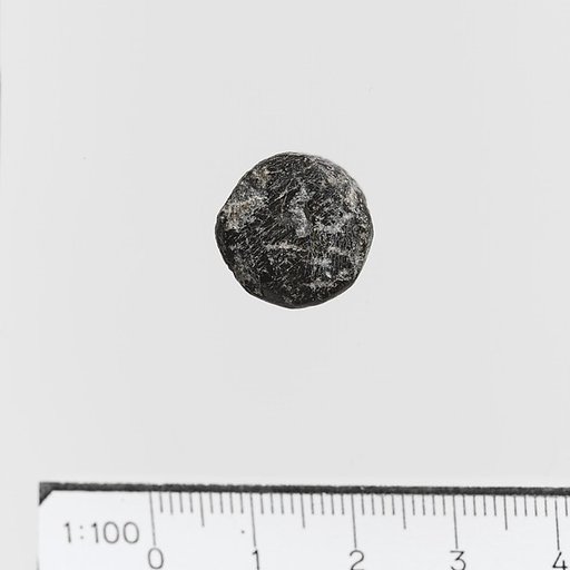 Seal