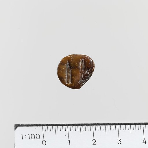 Seal Stamp