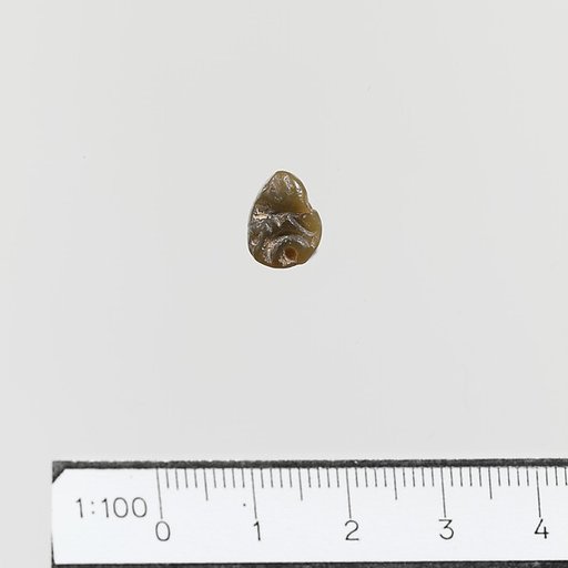 Seal, loop-handled signet