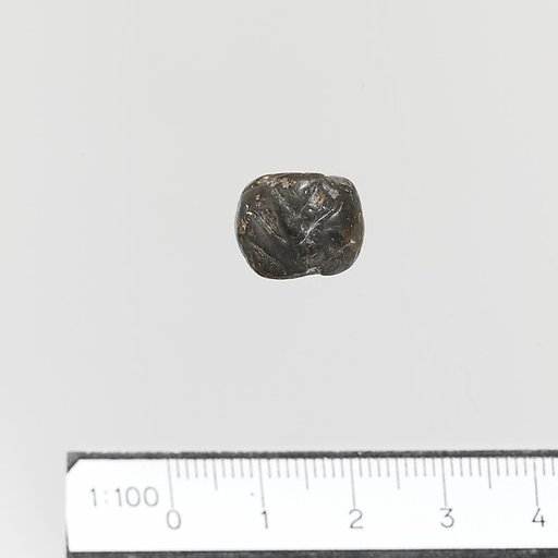 Seal