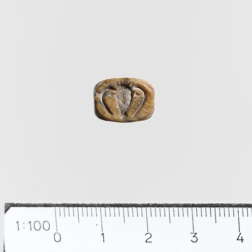 Seal, amygdaloid