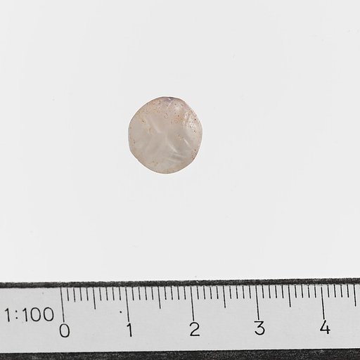 Seal
