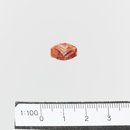 Seal