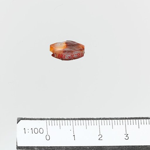 Seal