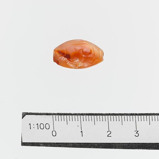 Seal