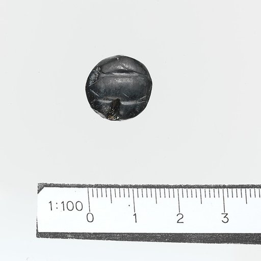 Seal