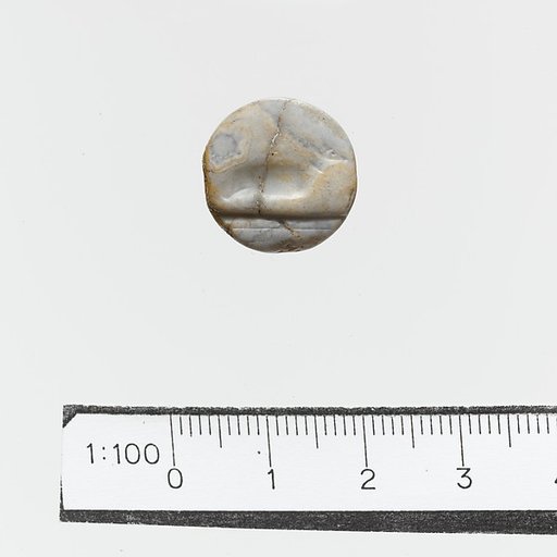 Seal