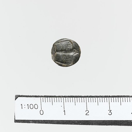 Seal, lentoid