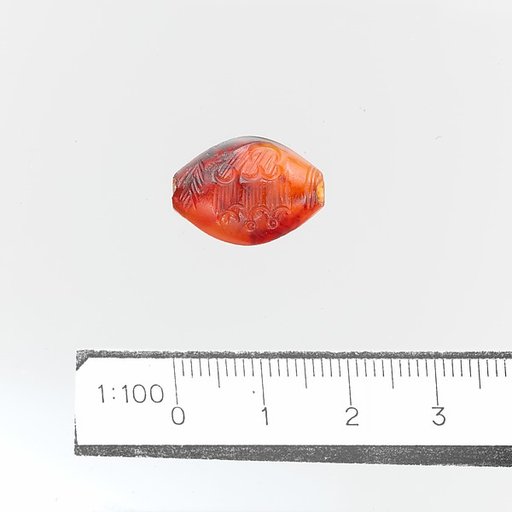 Seal, amygdaloid
