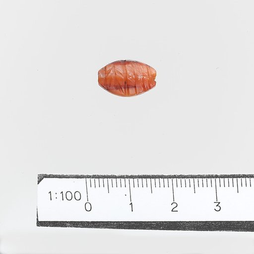 Seal