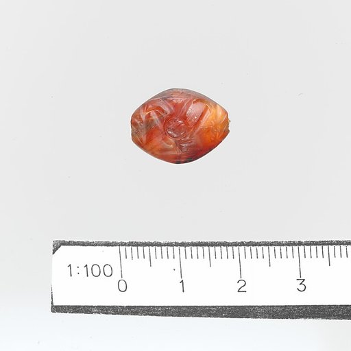 Seal