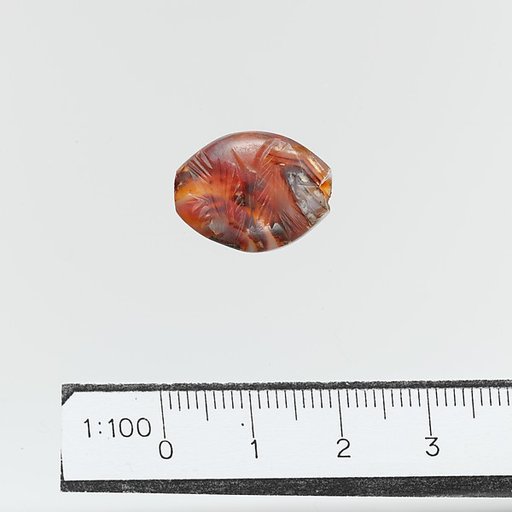 Seal