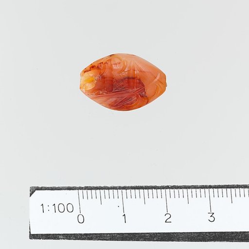 Seal