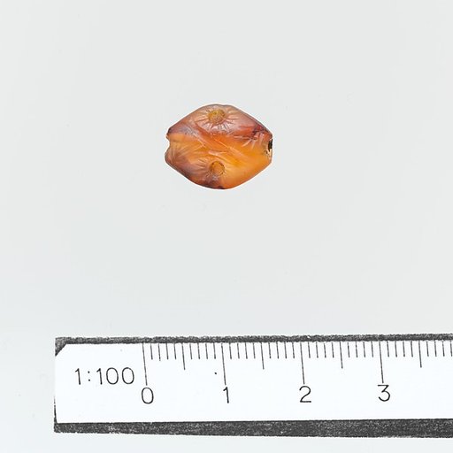 Seal, amygdaloid