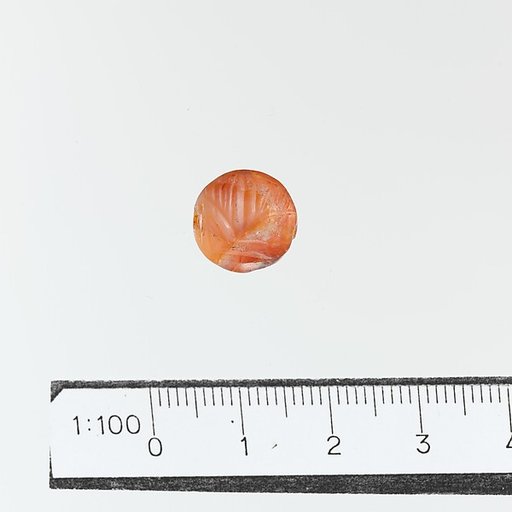 Seal