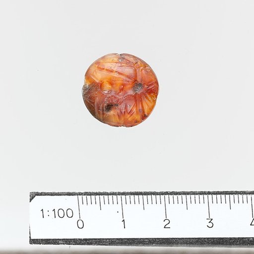 Seal, lentoid