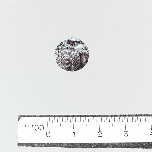 Seal, discoid