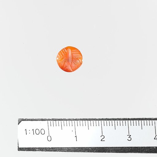 Seal