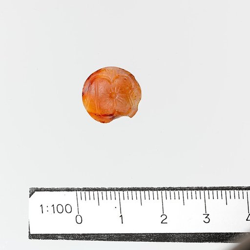 Seal