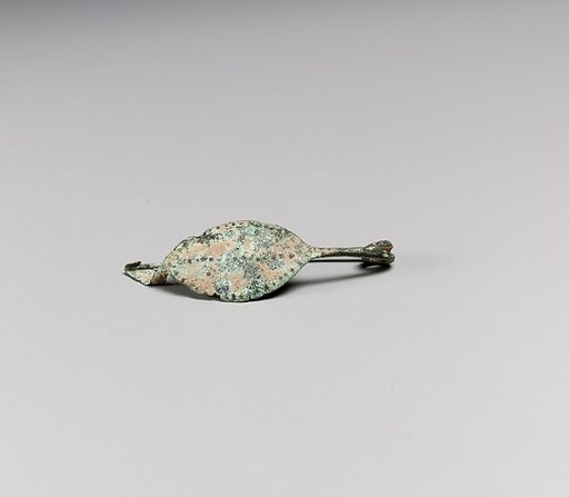 Fibula