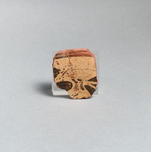 Lagynos fragment