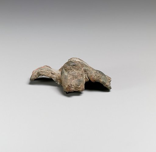 Foot (toes) fragment